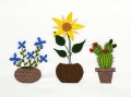 Bild 1 von Stickdatei Topfpflanzen Blumen Kaktus im SET